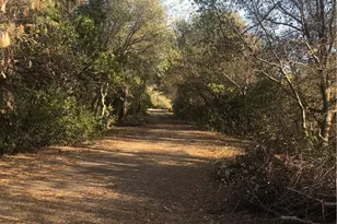 2410 Pennsylvania Gulch Rd, Murphys, CA 95247 - Photo 6