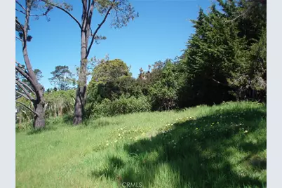 1970 Emmons Road, Cambria, CA 93428 - Photo 12