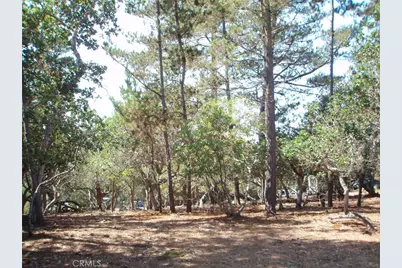 1865 Dreydon Avenue, Cambria, CA 93428 - Photo 1