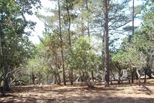 1865 Dreydon Ave, Cambria, CA 93428 - Photo 1