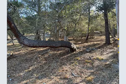 1818 Tweed Avenue, Cambria, CA 93428 - Photo 1