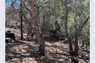 2275 Leona Drive, Cambria, CA 93428 - Photo 2