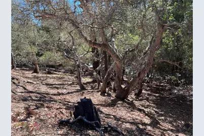 2275 Leona Drive, Cambria, CA 93428 - Photo 1