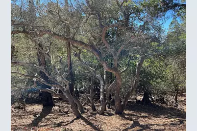 2275 Leona Drive, Cambria, CA 93428 - Photo 14