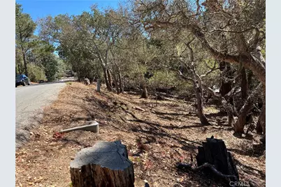 2275 Leona Drive, Cambria, CA 93428 - Photo 6