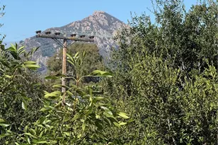 31 Hathway Ave, San Luis Obispo, CA 93405 - Photo 10