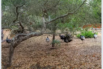 1021 Hillcrest, Cambria, CA 93428 - Photo 48