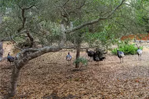 1021 Hillcrest, Cambria, CA 93428 - Photo 48