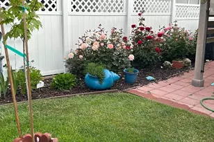 242 Partridge Ave, Paso Robles, CA 93446 - Photo 42