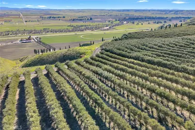 1990 E 46, Shandon, CA 93461 - Photo 44