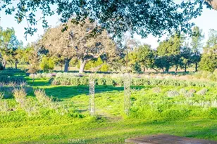 2480 Roblar Ave, Los Olivos, CA 93441 - Photo 74