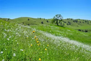 19623 Rd 211, Friant, CA 93626 - Photo 56