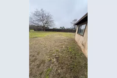 2433 W Clemenceau, Caruthers, CA 93609 - Photo 30