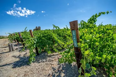 6172 Hawk Ridge Place, Paso Robles, CA 93446 - Photo 64