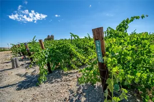 6172 Hawk Ridge Pl, Paso Robles, CA 93446 - Photo 64