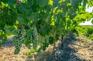 6172 Hawk Ridge Pl, Paso Robles, CA 93446 - Photo 62