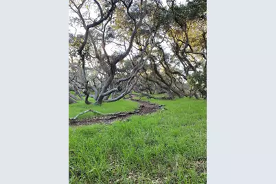 1595 Los Osos Valley Road #8A, Los Osos, CA 93402 - Photo 66