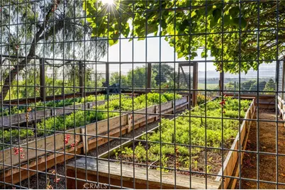 6935 Canada Vista, San Luis Obispo, CA 93401 - Photo 68