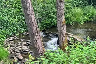 2601 Murphys Grade Rd, Murphys, CA 95247 - Photo 2