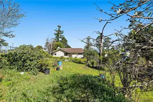 1909 Pineridge, Cambria, CA 93428 - Photo 20