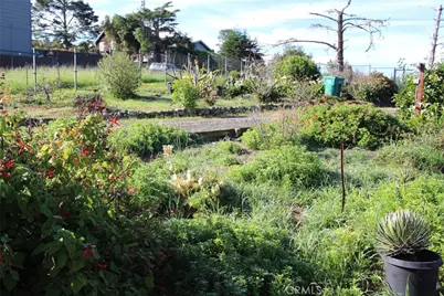 1909 Pineridge, Cambria, CA 93428 - Photo 38
