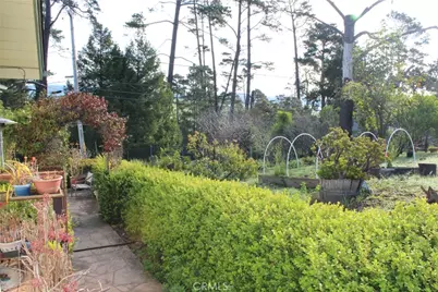 1909 Pineridge, Cambria, CA 93428 - Photo 22