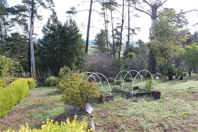 1909 Pineridge, Cambria, CA 93428 - Photo 32