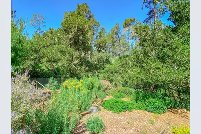 2195 Wilton, Cambria, CA 93428 - Photo 62