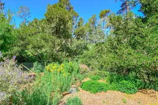 2195 Wilton, Cambria, CA 93428 - Photo 62