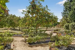 8970 S Butte, Sutter, CA 95982 - Photo 22