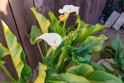 1178 Pacific Pointe Way, Arroyo Grande, CA 93420 - Photo 26