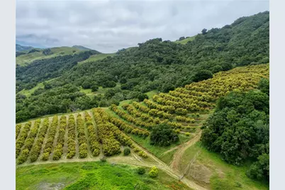 7515 Santa Rosa Creek Road, Cambria, CA 93428 - Photo 32