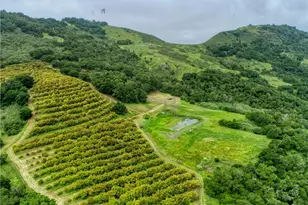 7515 Santa Rosa Creek Rd, Cambria, CA 93428 - Photo 36