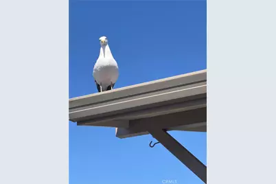 1154 Santa Ysabel, Los Osos, CA 93402 - Photo 42