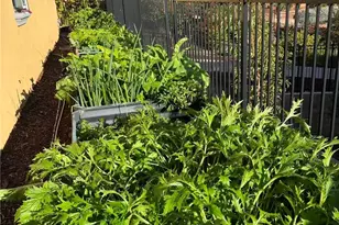 3062 Arezzo, San Luis Obispo, CA 93401 - Photo 8