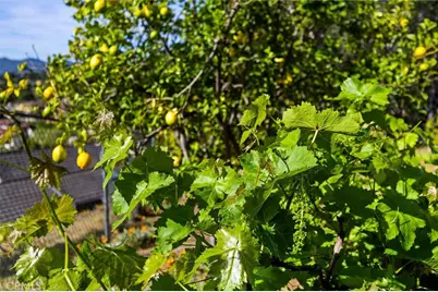 957 Skyline Drive, San Luis Obispo, CA 93405 - Photo 38