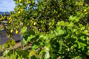 957 Skyline Dr, San Luis Obispo, CA 93405 - Photo 38