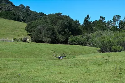 4144 Harmony Valley Road, Harmony, CA 93435 - Photo 4