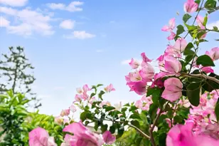 3425 Quail Meadows, Santa Maria, CA 93455 - Photo 28