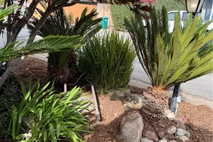1675 Los Osos Valley Road, Los Osos, CA 93402 - Photo 26