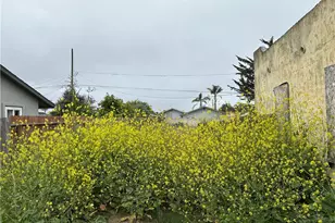 261 Tognazzini, Guadalupe, CA 93434 - Photo 8
