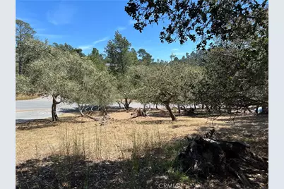 0 Pierce Avenue, Cambria, CA 93428 - Photo 4