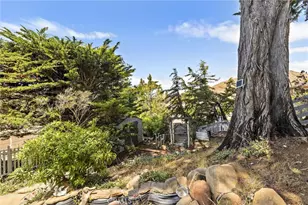 2991 Juniper, Morro Bay, CA 93442 - Photo 44