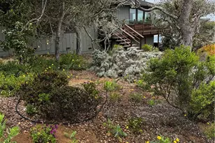 1051 Santa Ysabel Ave, Los Osos, CA 93402 - Photo 6