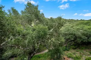 2535 Lupine Canyon, Avila Beach, CA 93424 - Photo 26