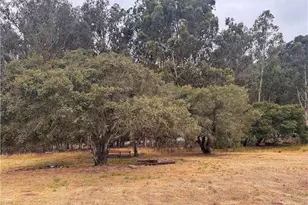 491 Hurley Ranch, Arroyo Grande, CA 93420 - Photo 30