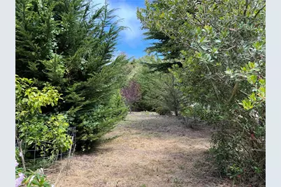 2936 Burton Drive, Cambria, CA 93428 - Photo 46