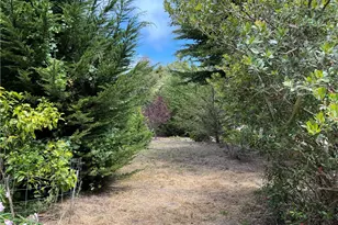 2936 Burton Dr, Cambria, CA 93428 - Photo 46