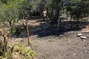 1411 1415 San Luis Dr, San Luis Obispo, CA 93401 - Photo 4
