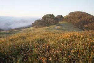 2935 Club Moss Ln, Avila Beach, CA 93424 - Photo 68